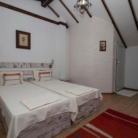 Villa Kozareva козаревата